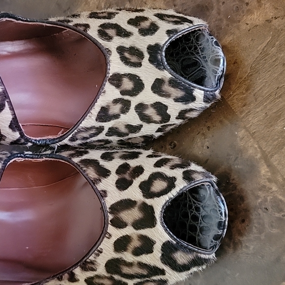 Donald Pilner Italy - Picture 7 of 14